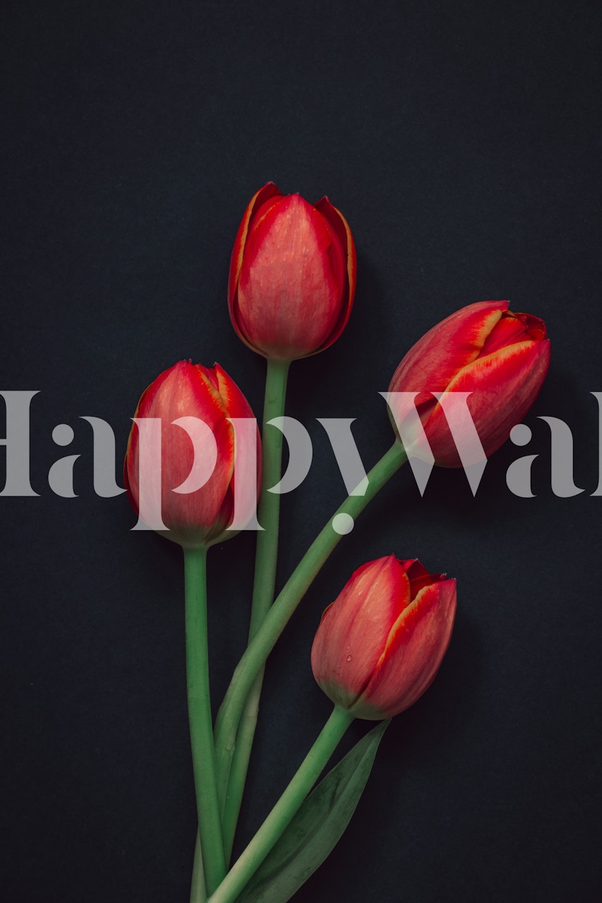 Elegant Red Tulips tapetdesign