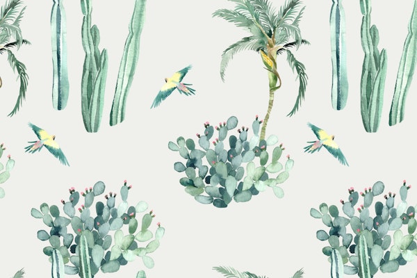 Exotic Birds Among Cactus Plants