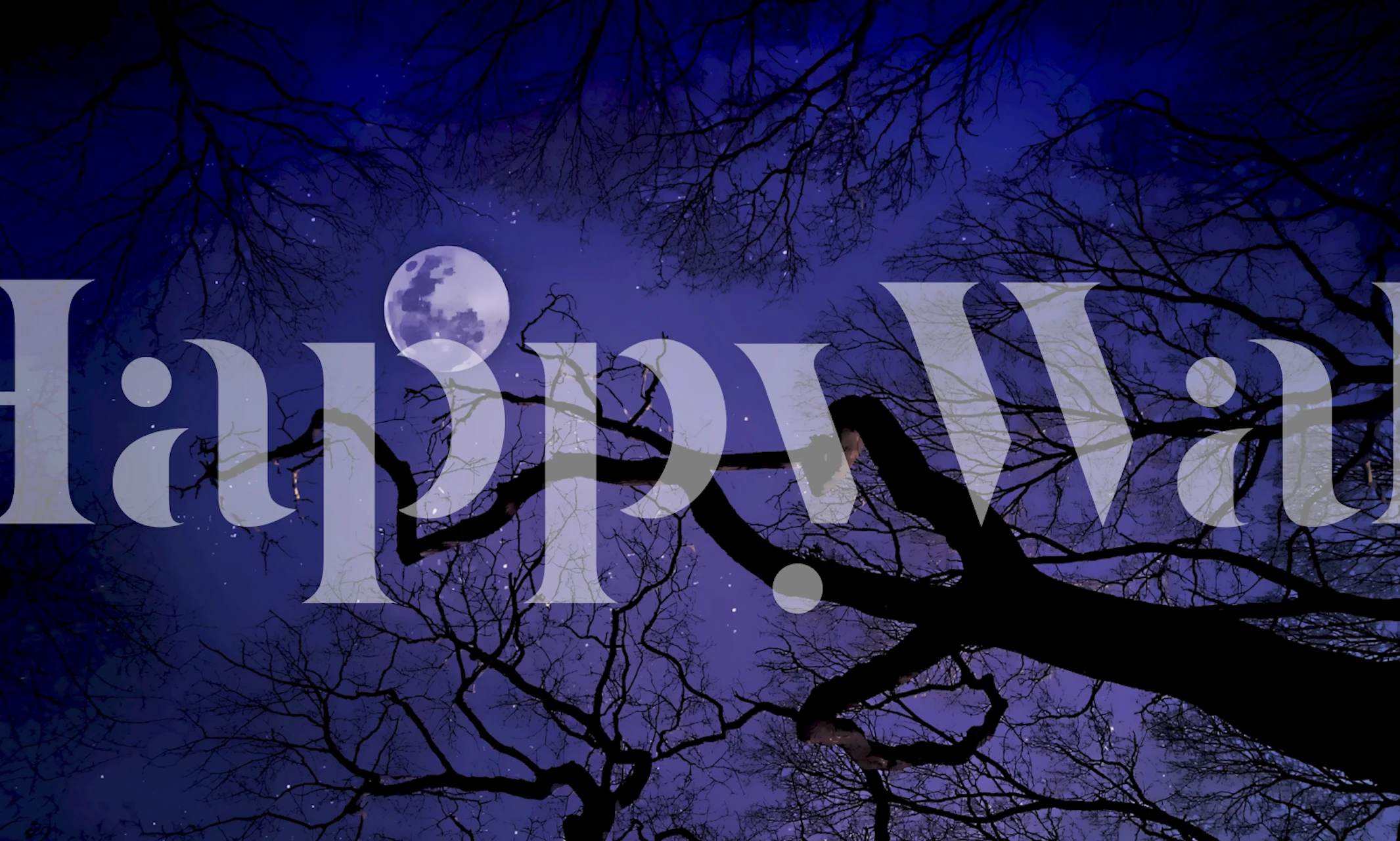 Starry Forest Sky wallpaper i ett rum