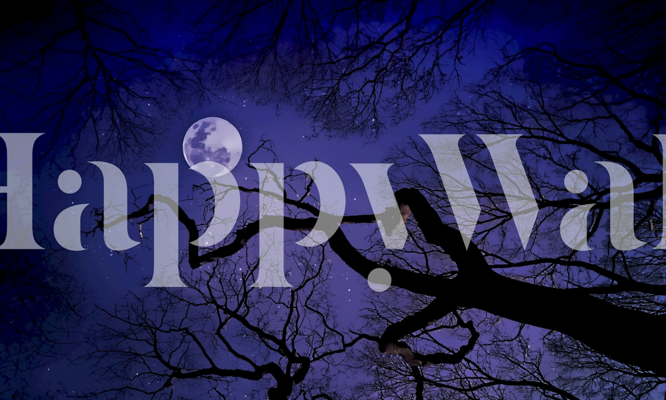 Starry Forest Sky wallpaper in a room