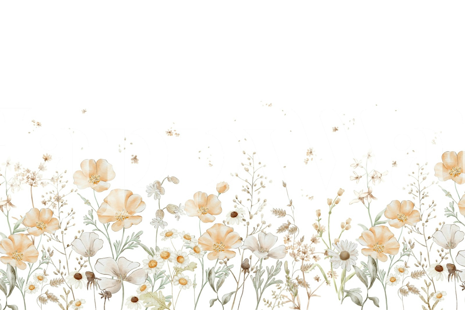 Sjarmerende poppy floral wallpaper i et rom