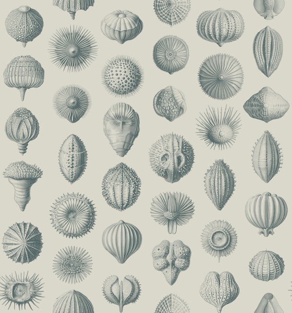Synthetic Sea Urchins - Teal & Ivory