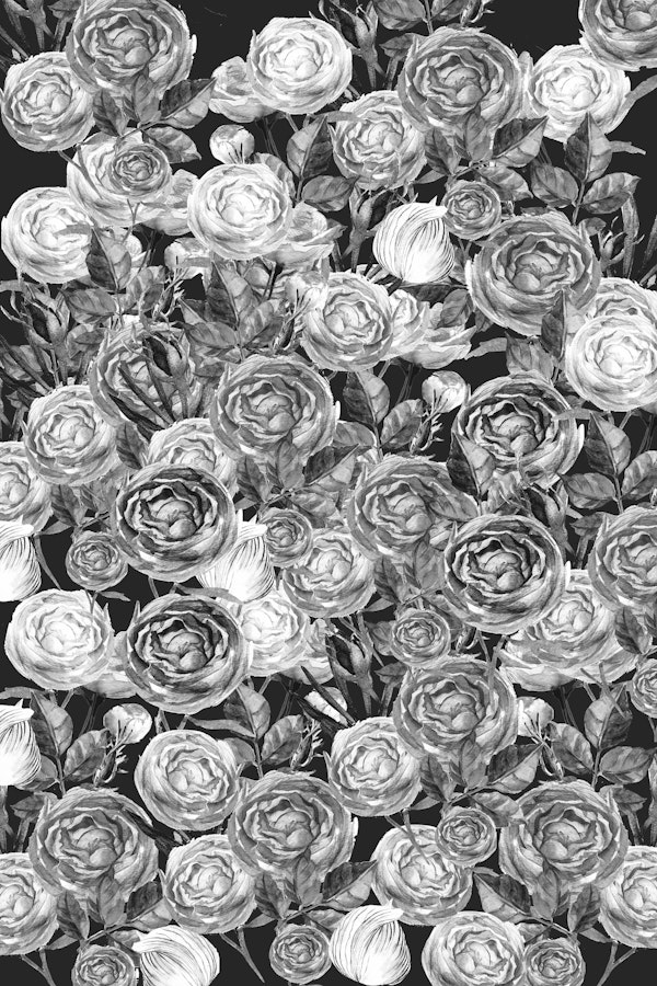 Vintage Roses Black And White