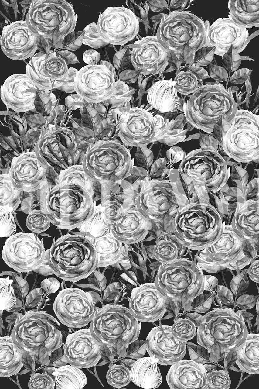 Vintage Roses Black And White tapetvisning