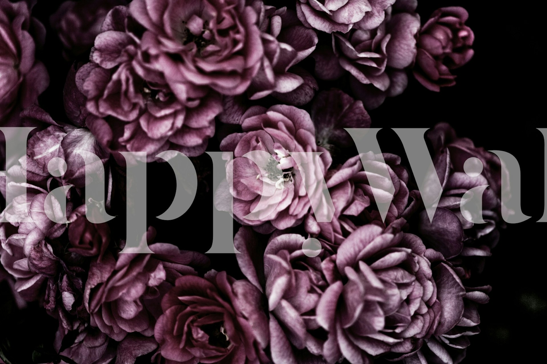 Purple floral wallpaper with rich dark flowers