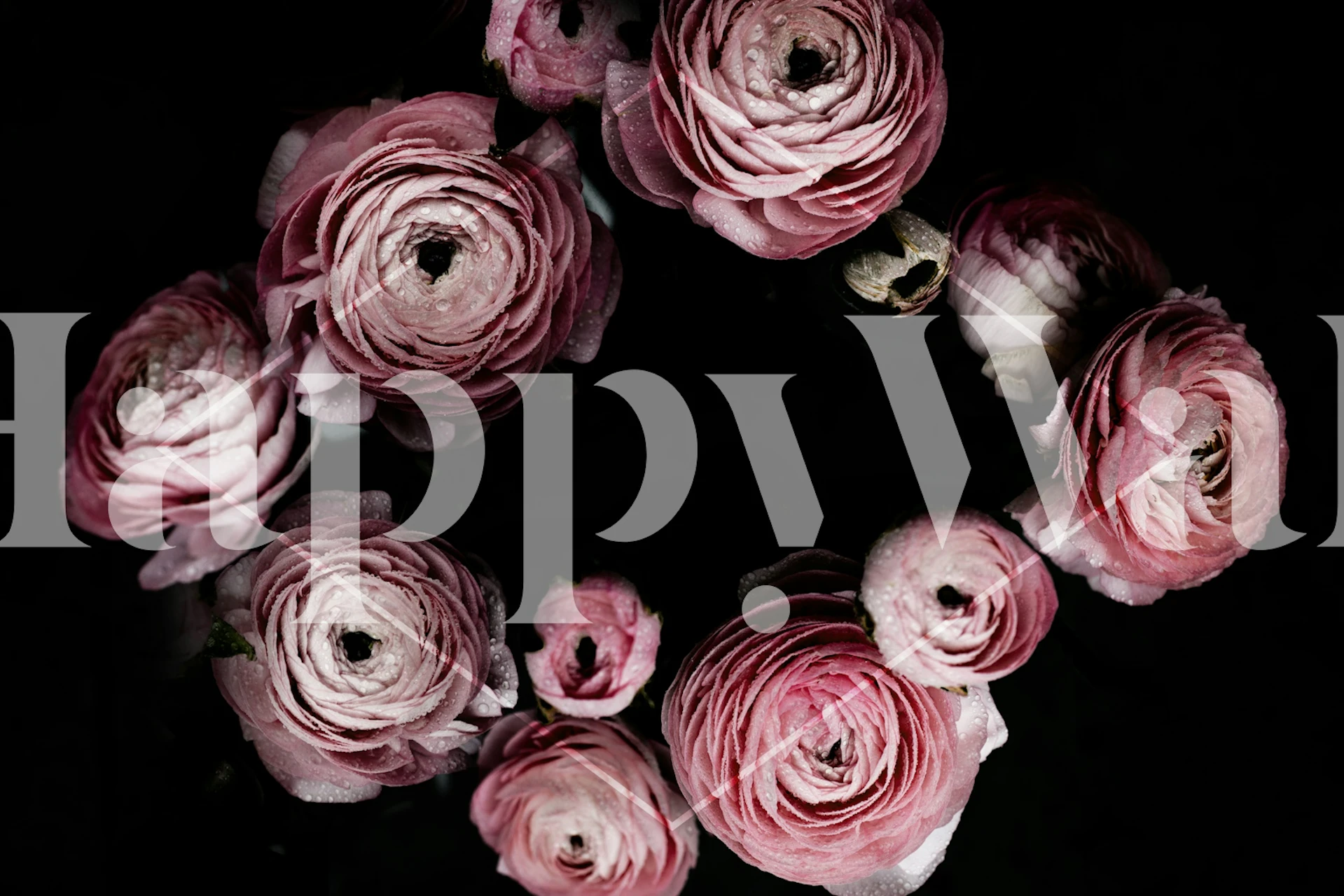 Blooming Geometry 1 wallpaper in a room