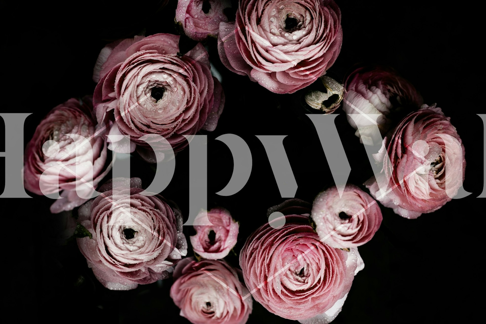 Blooming Geometry 1 wallpaper in a room