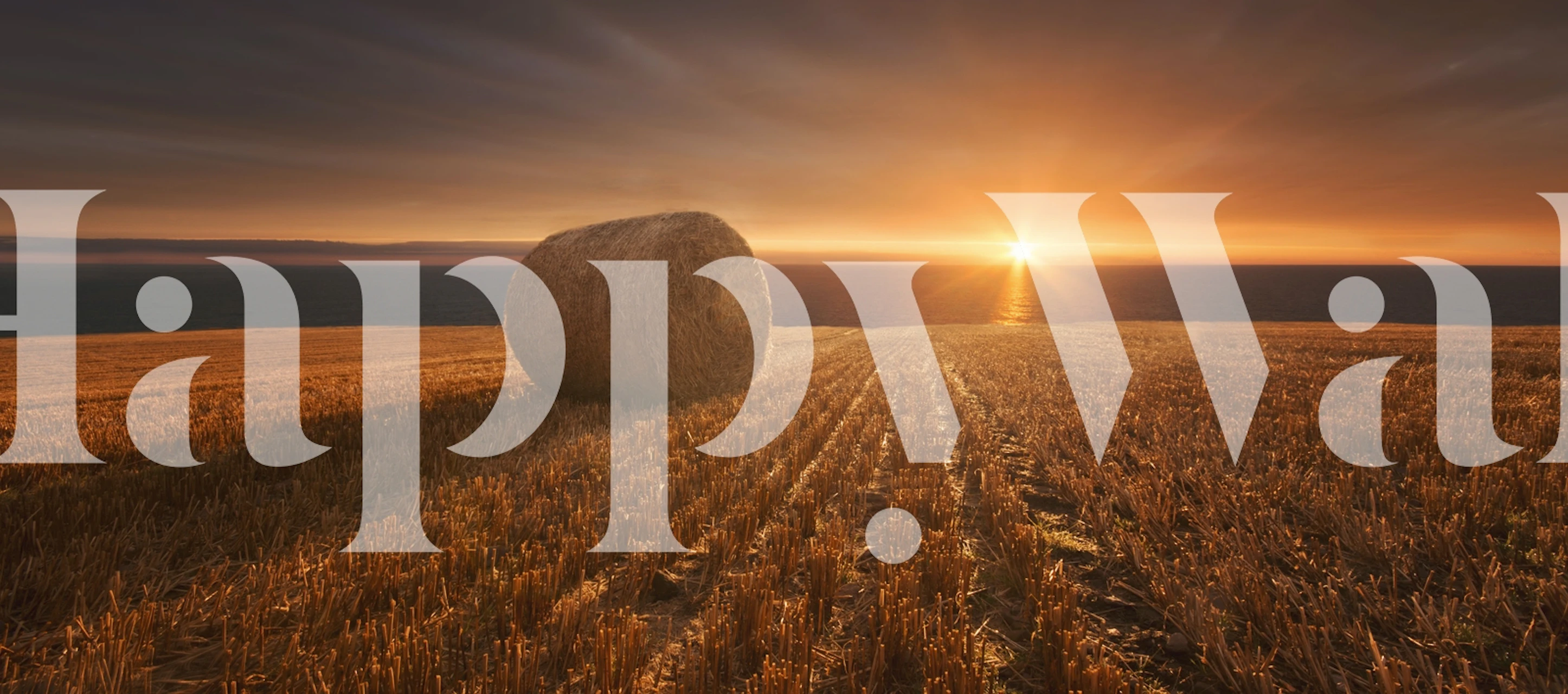 Gold Harvest wallpaper in a cozy room