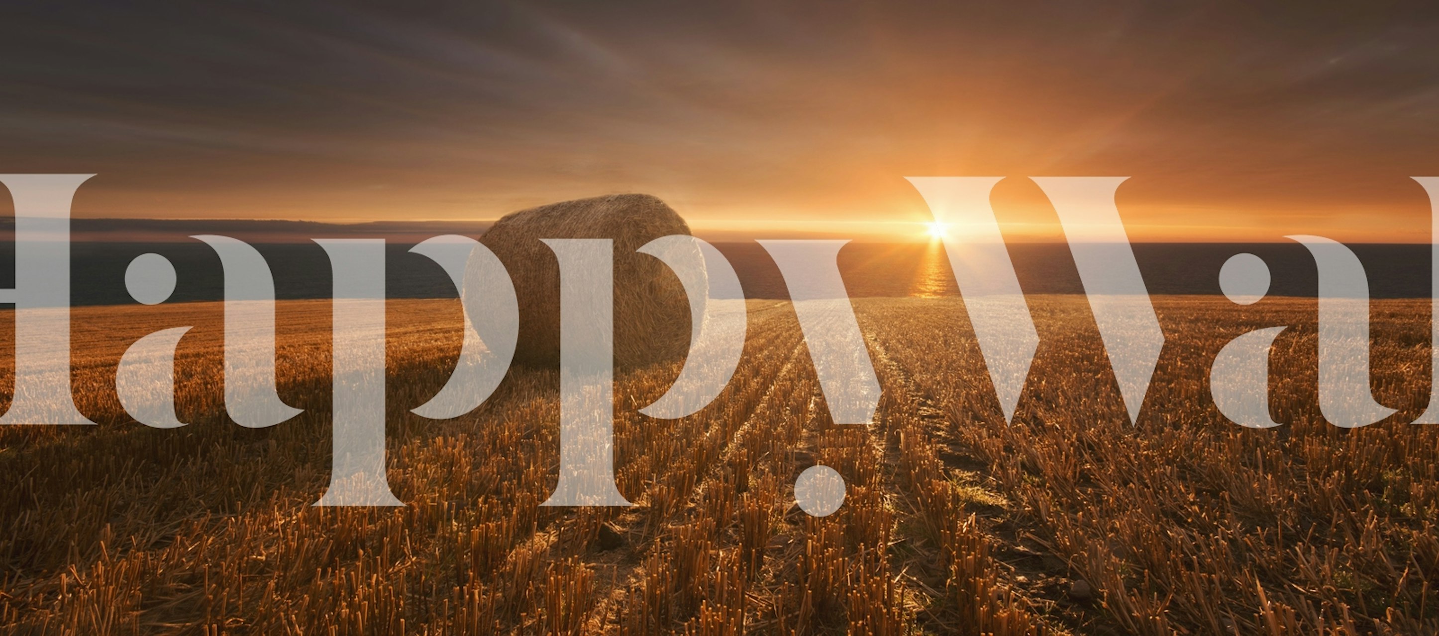 Gold Harvest wallpaper in a cozy room