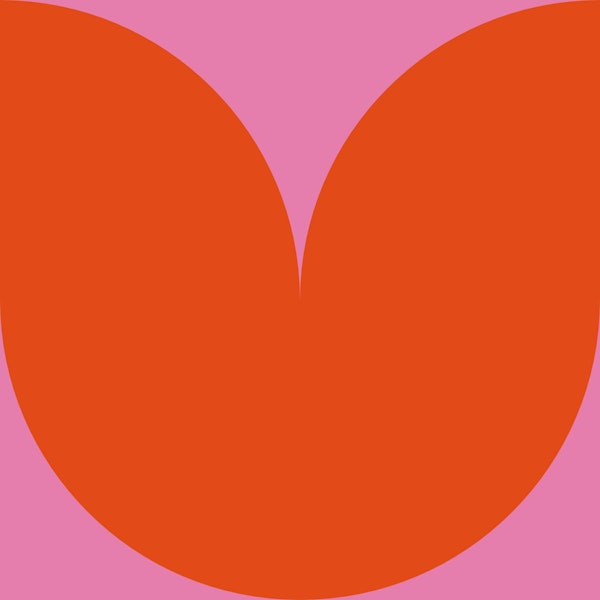 Retro Geometric Waves in Pink and Orange