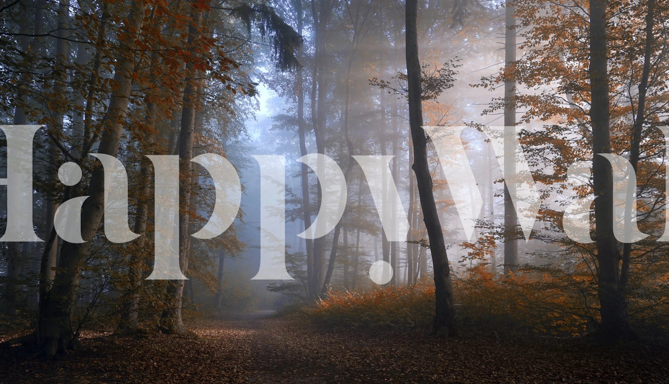 Tapeta s jesenskim bojama u šumi