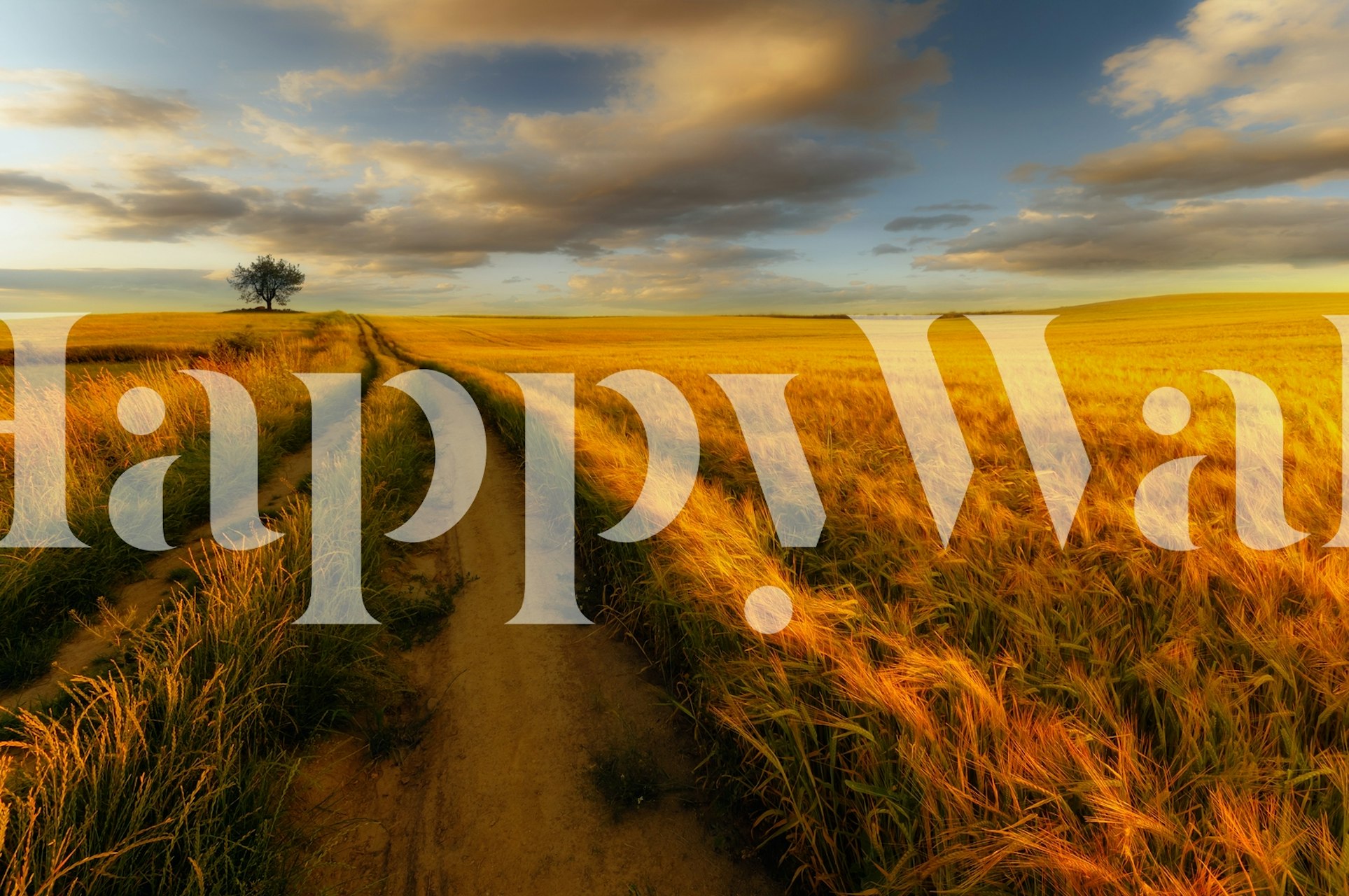 Yellow wallpaper design in an elegant room