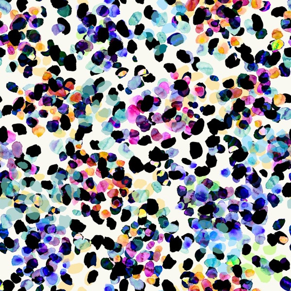 Wild Thing Rainbow Spot