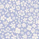 Organic Hand Drawn Wildflower Cornflower Blue