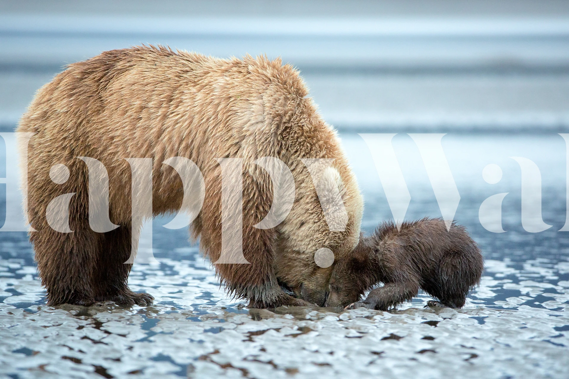 Bear and cub in soft earthy tones wallpaper