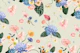Colorful Tropical Flowers