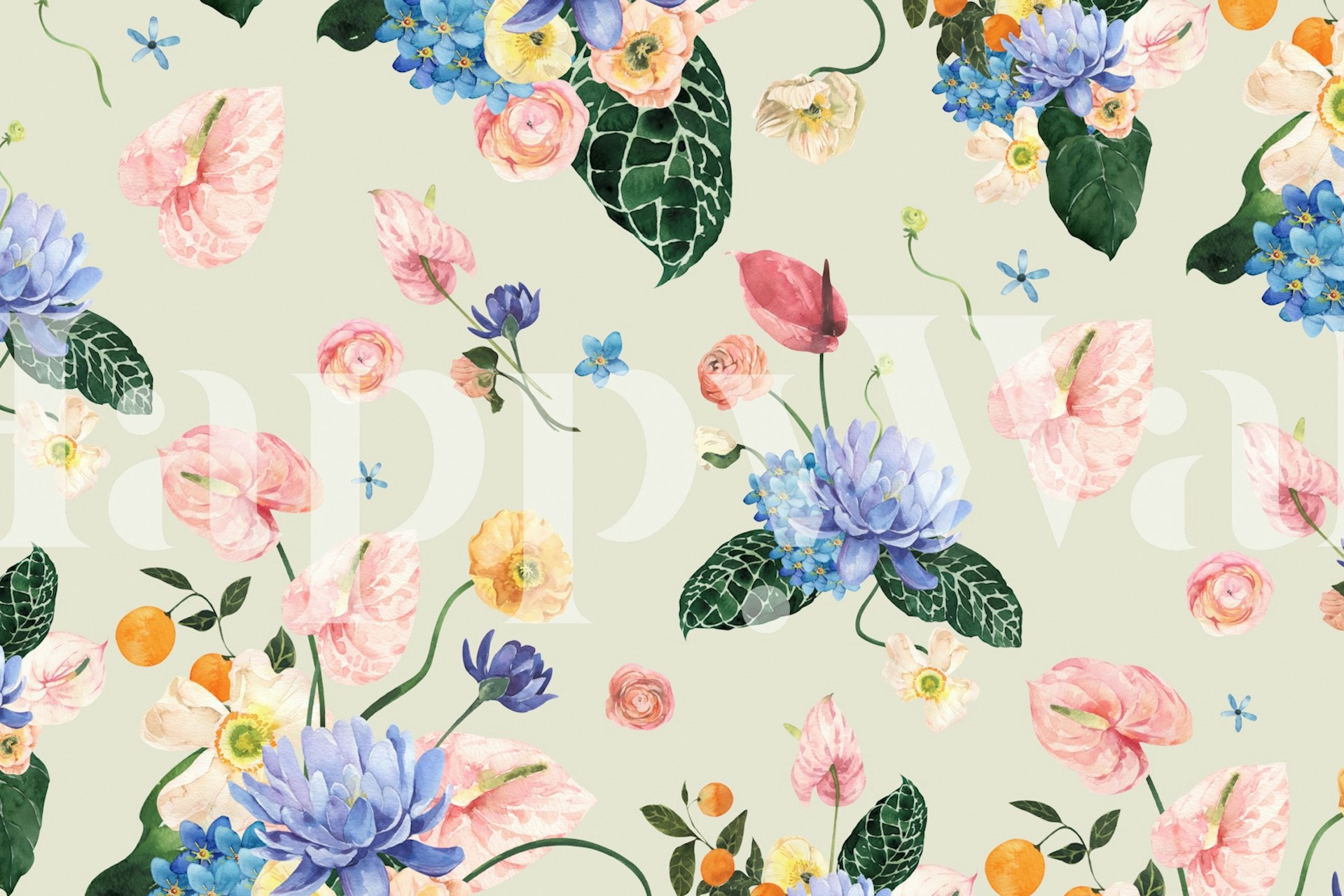 Colorful Tropical Flowers wallpaper in a room