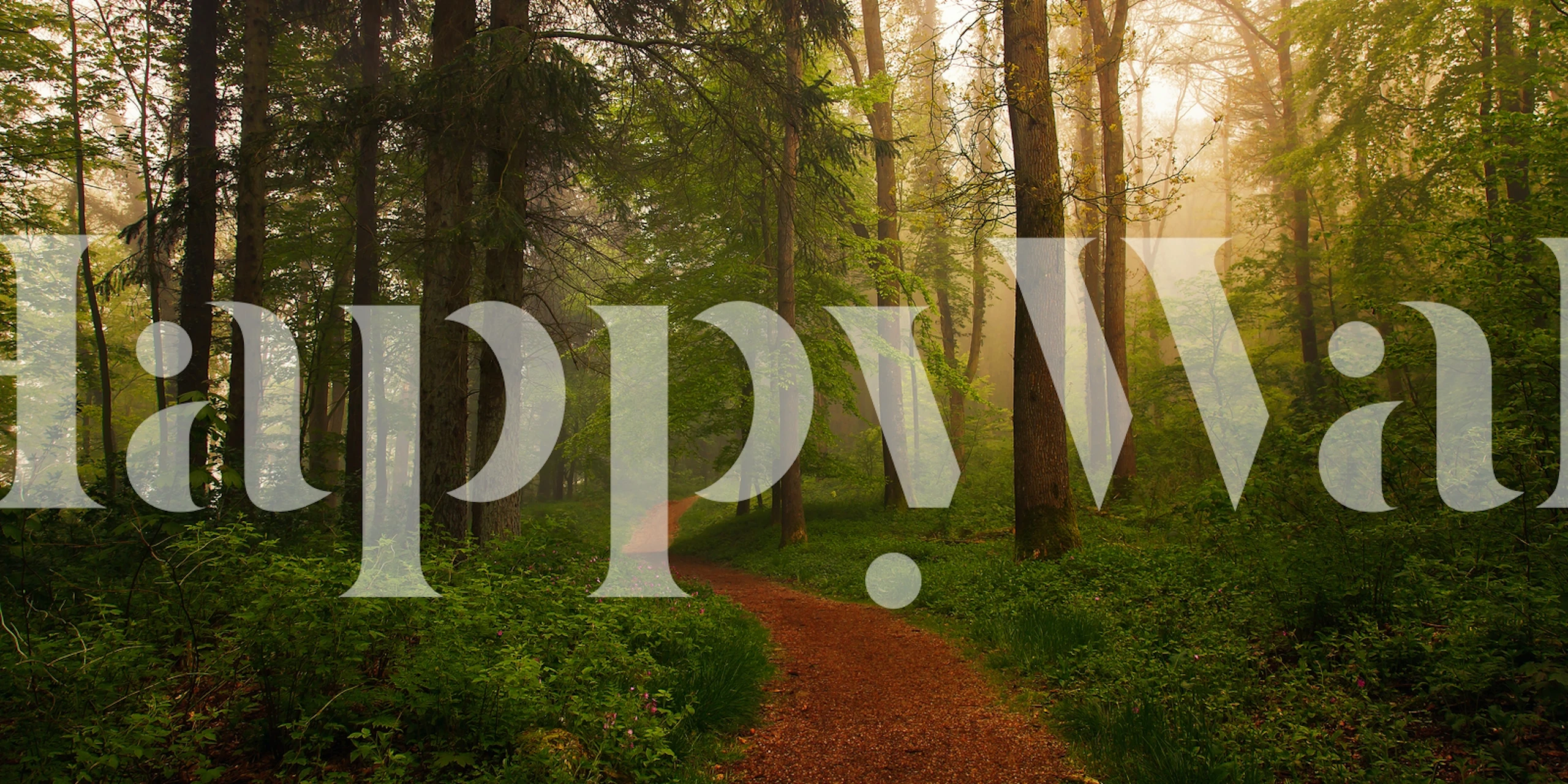 The Red Path wallpaper in a forest setting