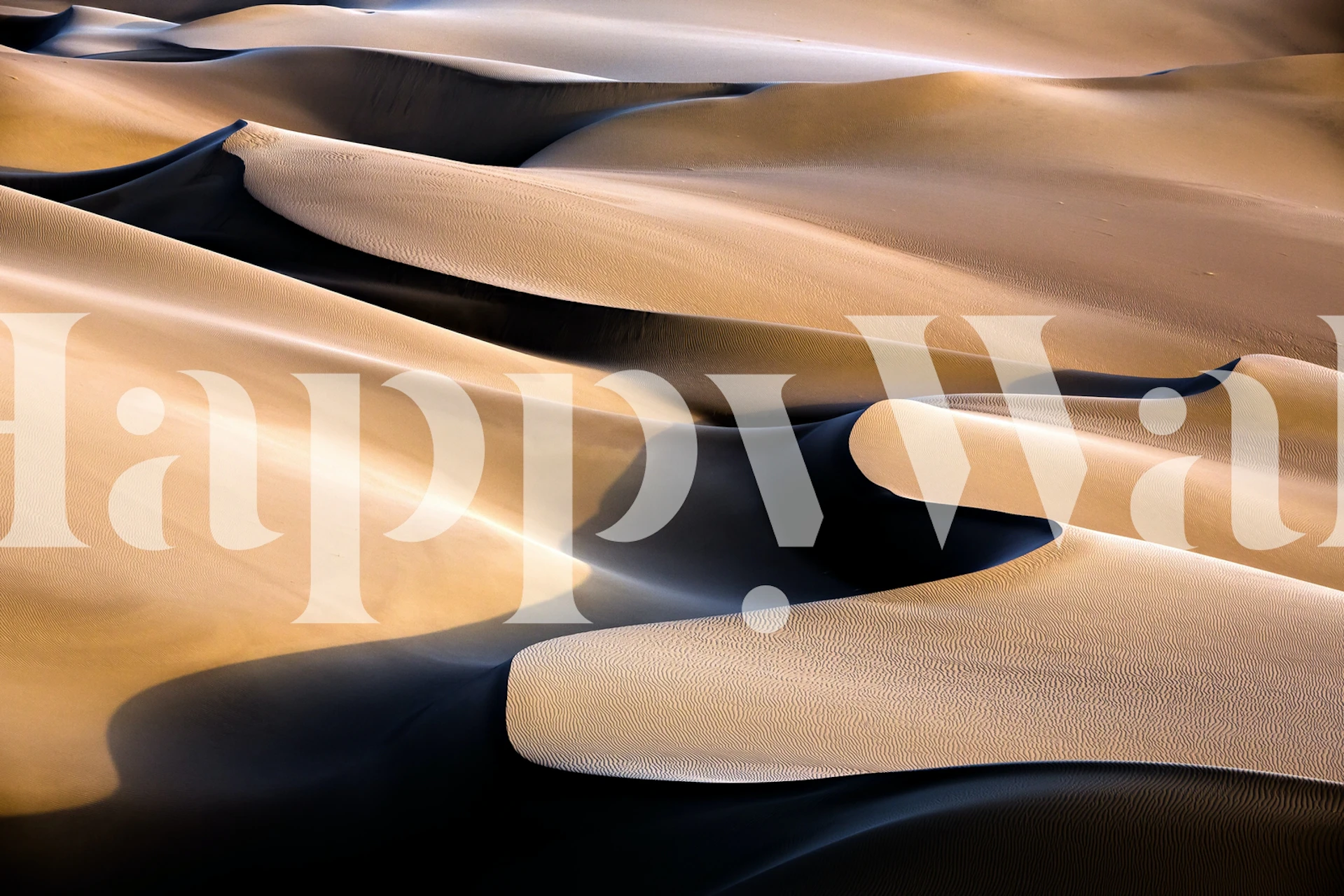 Sand dune patterns in warm beige and black tones wallpaper