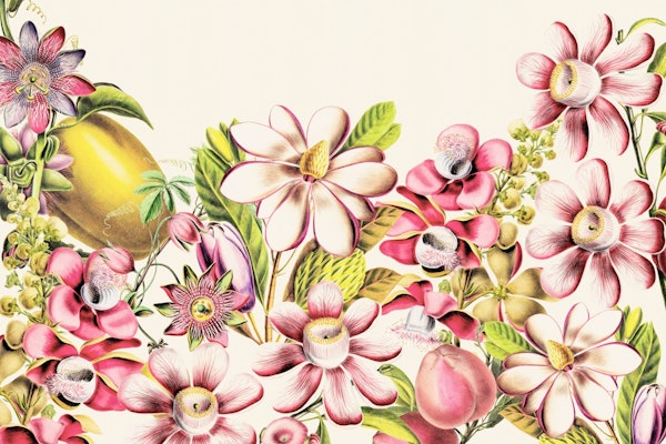 Pink Botanical Vintage Flower Paradise