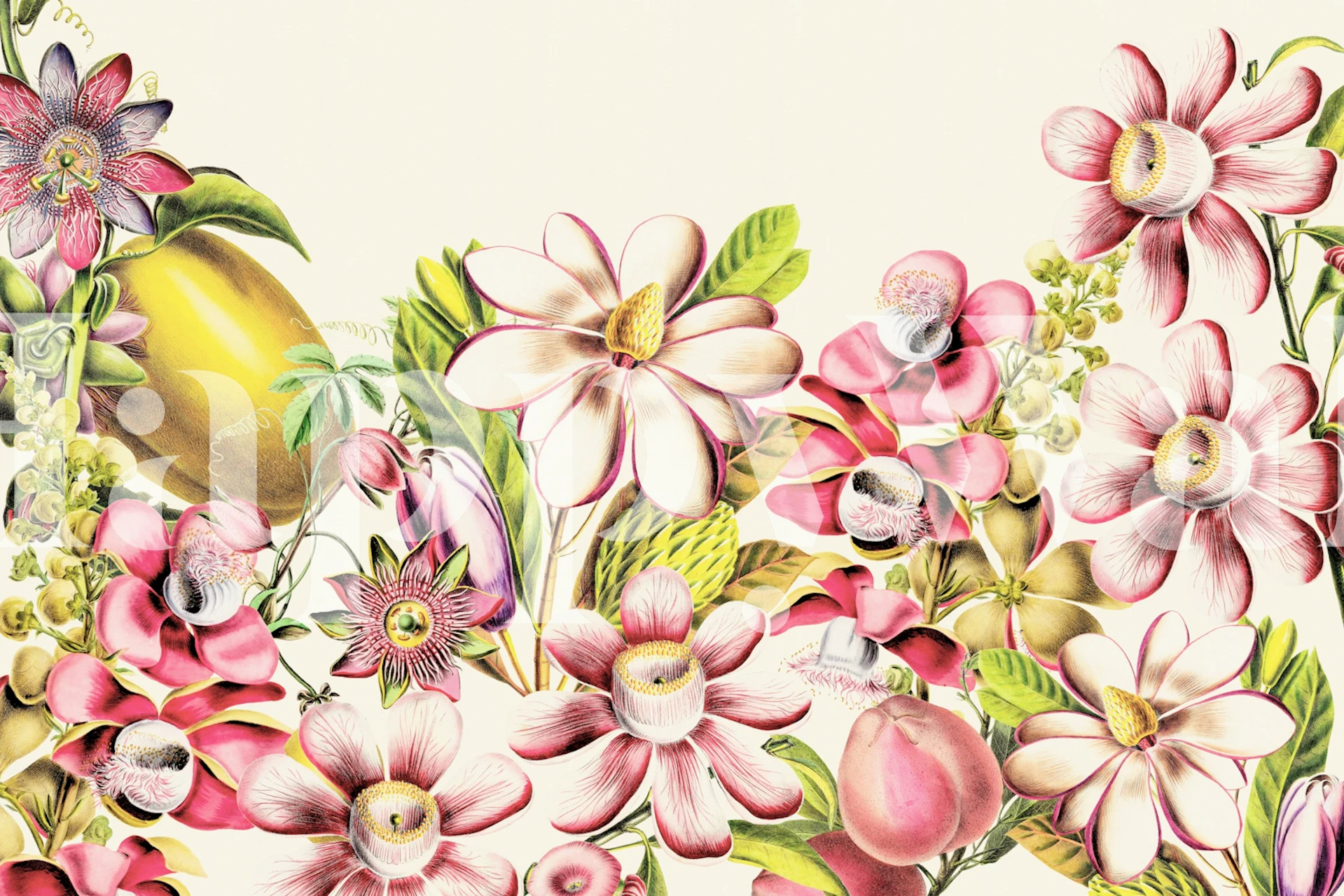 Roze botanische vintage bloemen wallpaper