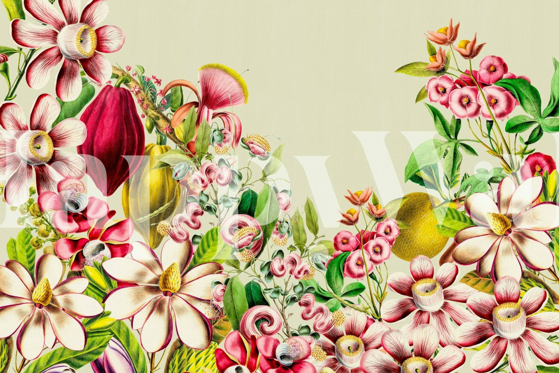 Colorful floral and botanical patterns on beige background wallpaper