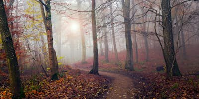 Τοιχογραφία