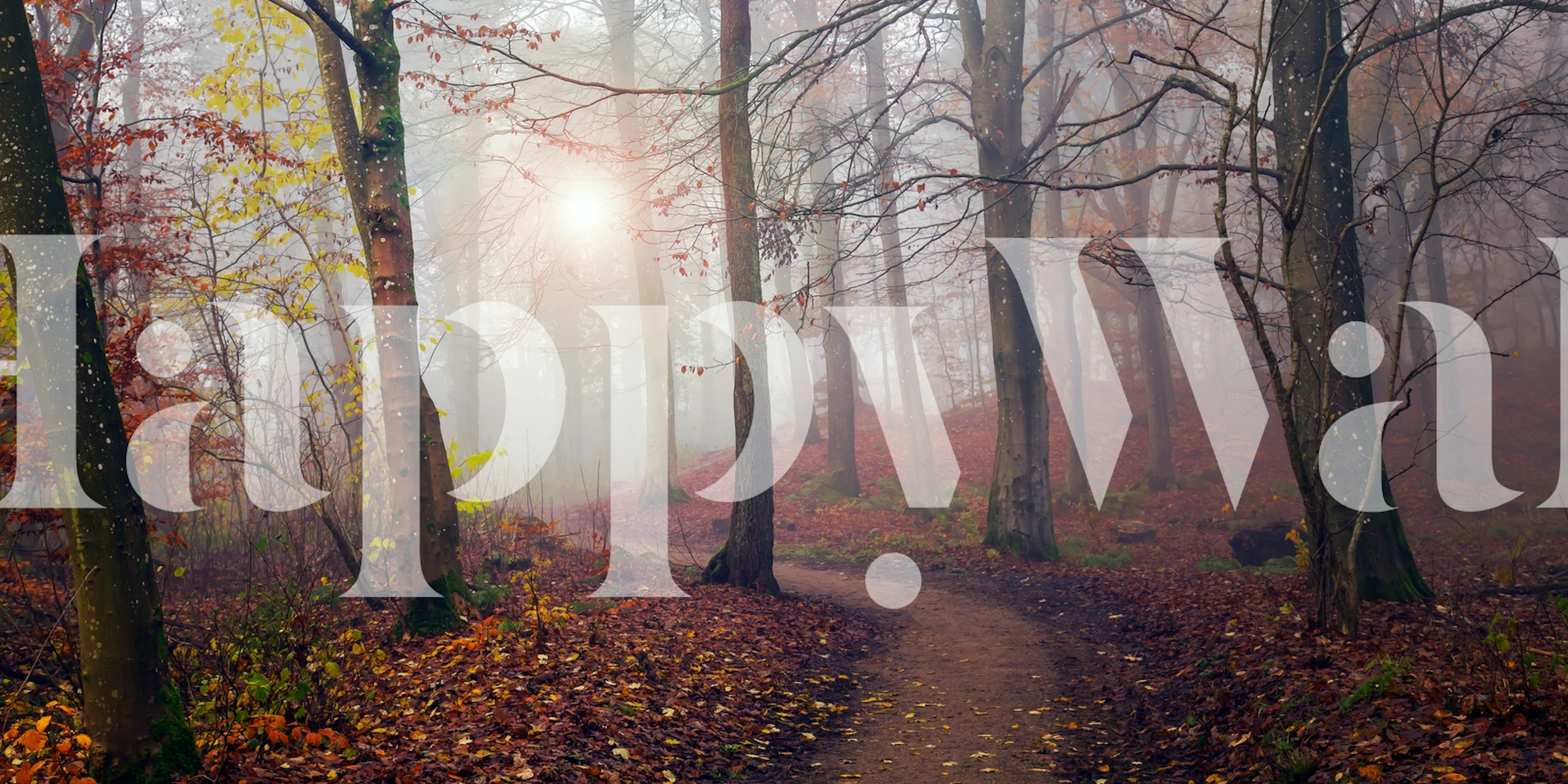 Autumn Sun wallpaper in a room setting