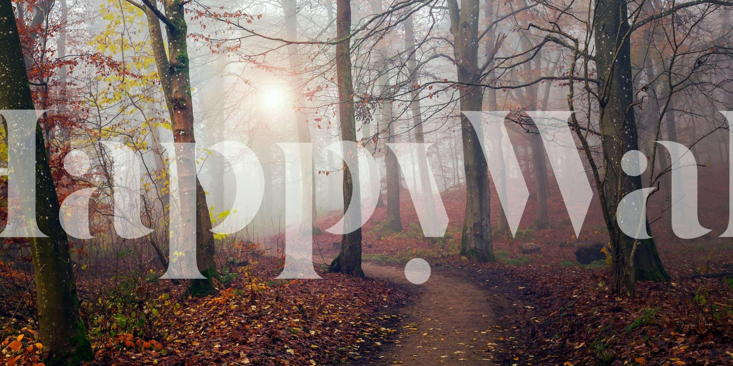 Autumn Sun wallpaper in a room setting