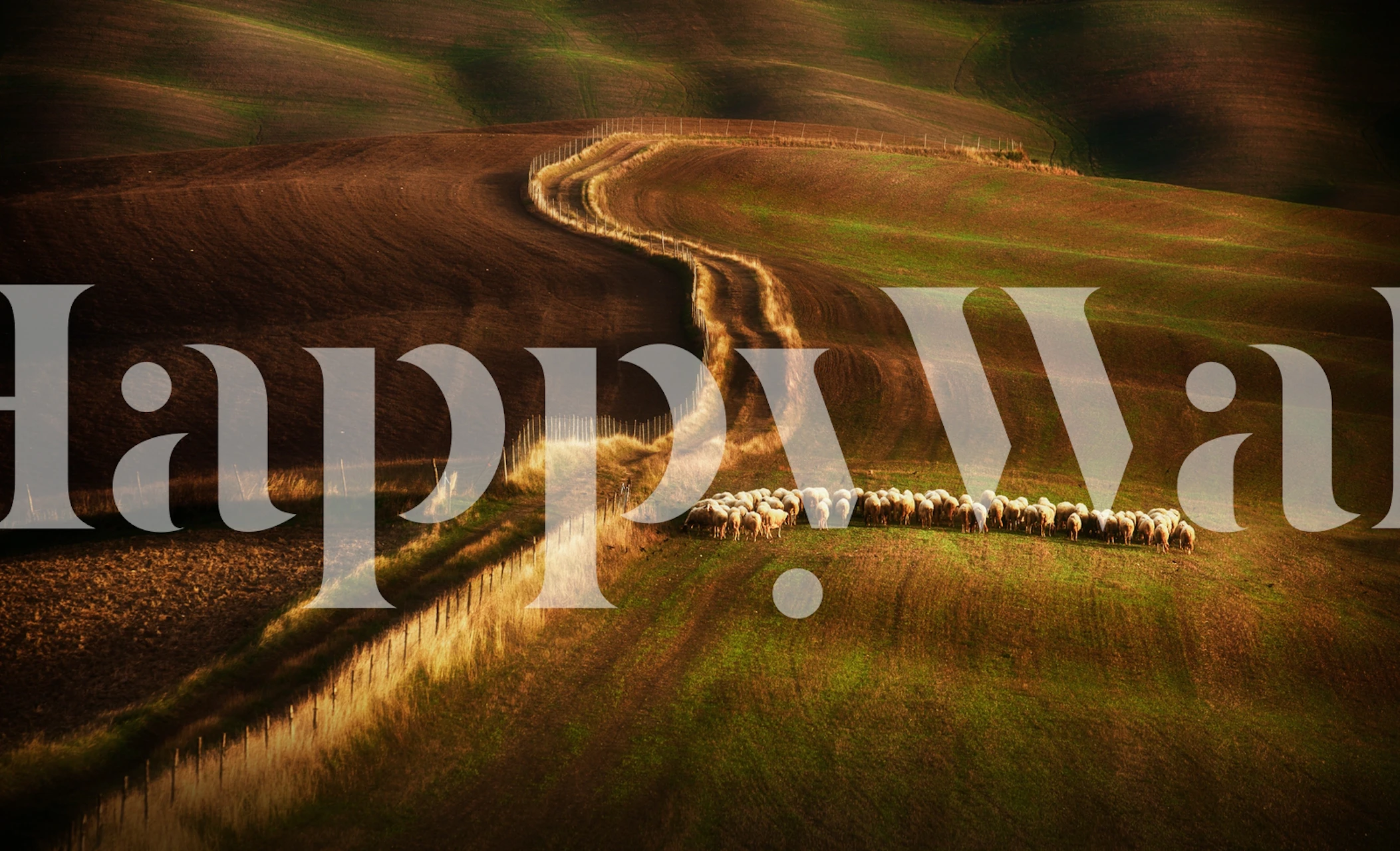 Rural countryside landscape with rolling hills and sheep wallpaper