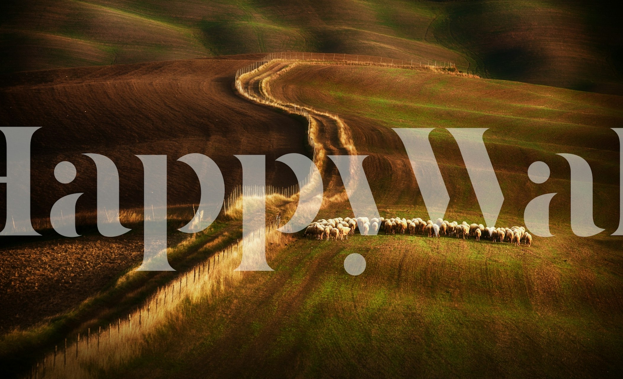 Rural countryside landscape with rolling hills and sheep wallpaper