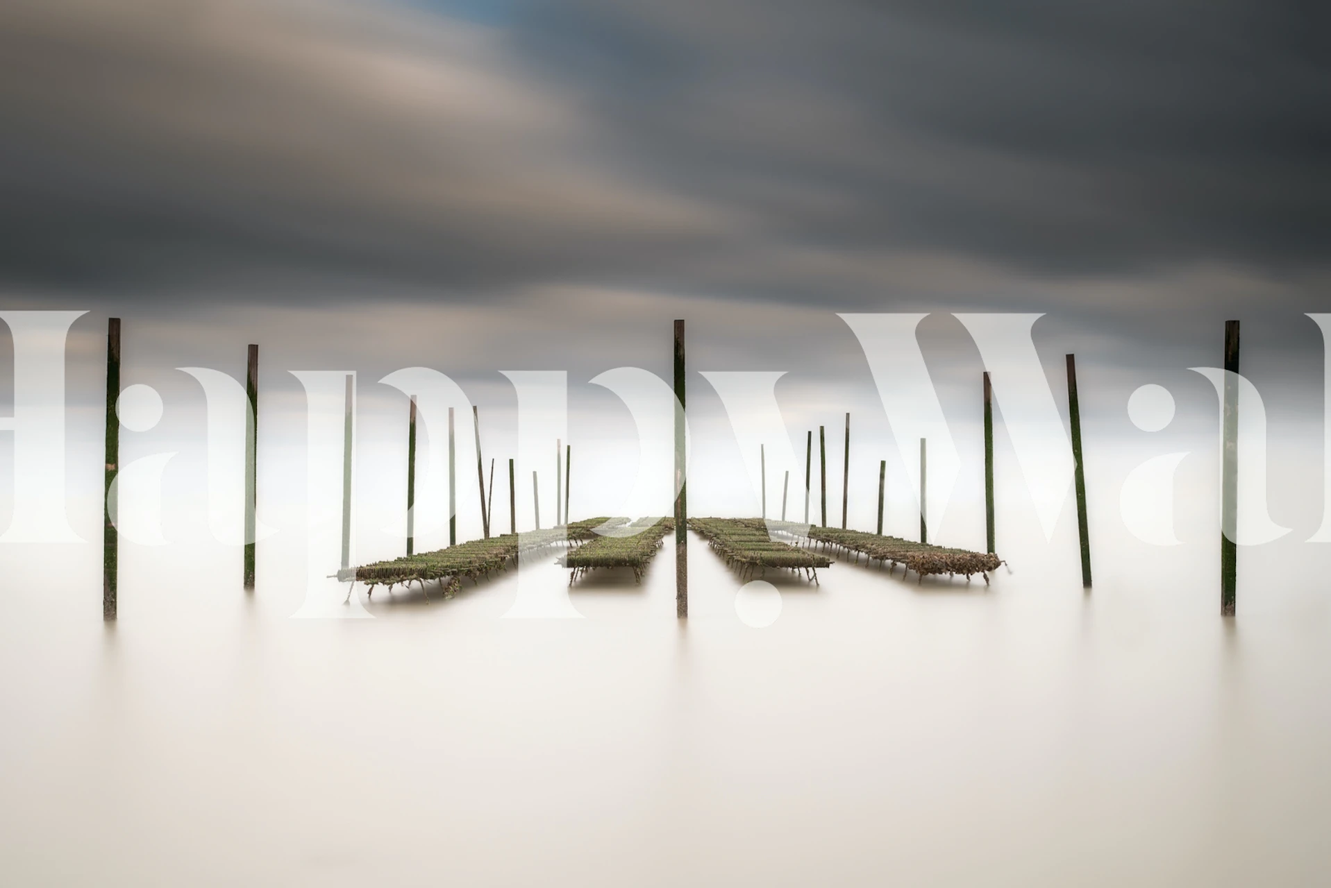 Oyster Bar tapet visad i ett rum