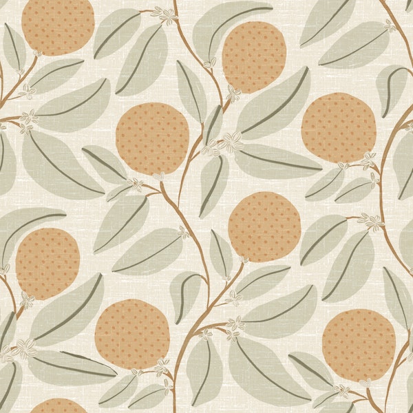 Vintage Orange Orchard.Trailing orange tree