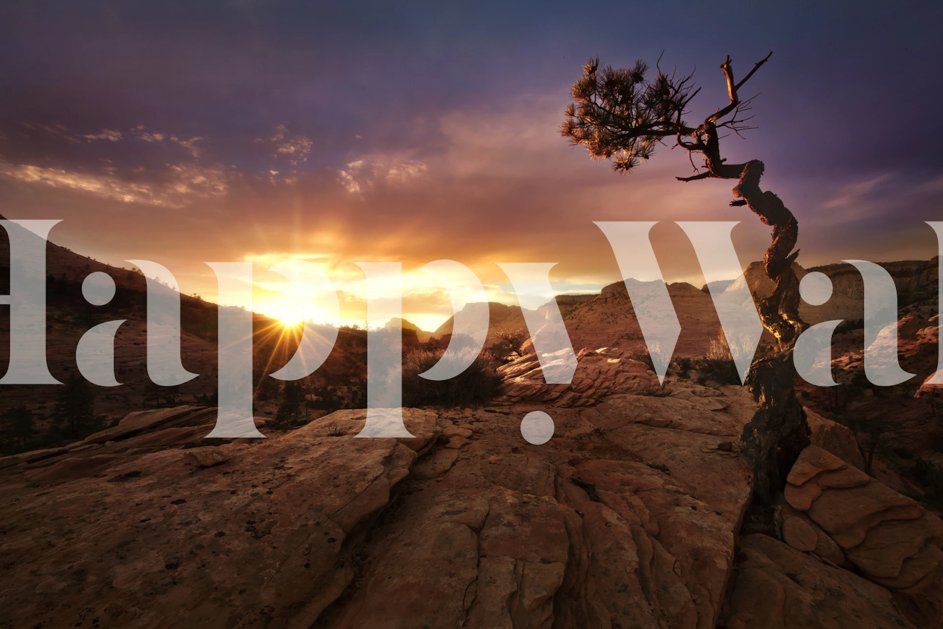 Surrealistisk landskap tapet med vridet träd och solnedgång