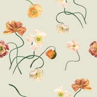 Wild Poppies on Sage Green tapete