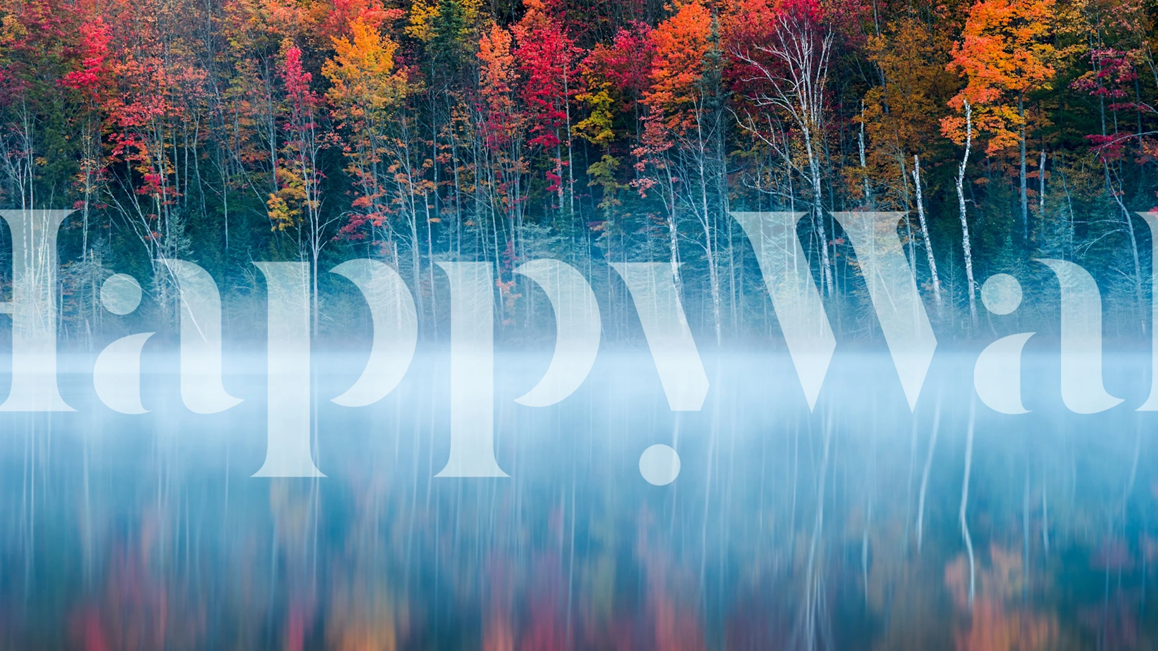 Serene misty lake with autumn trees reflected in water wall mural