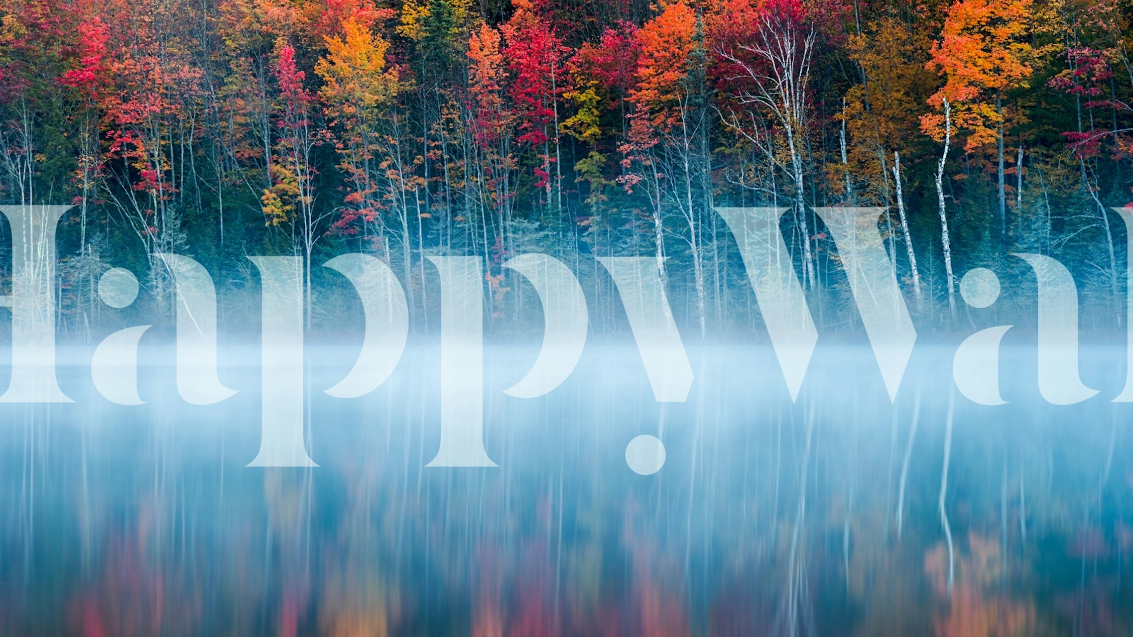 Serene misty lake with autumn trees reflected in water wall mural