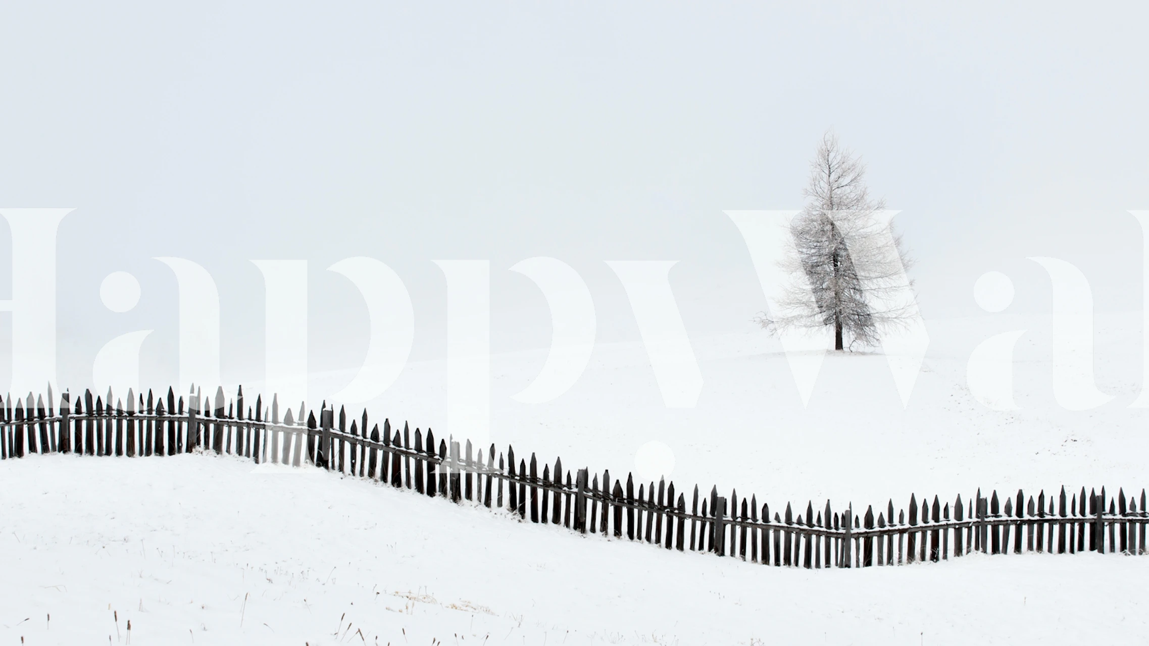 Minimalist snowy landscape with a lone tree and wooden fence wallpaper