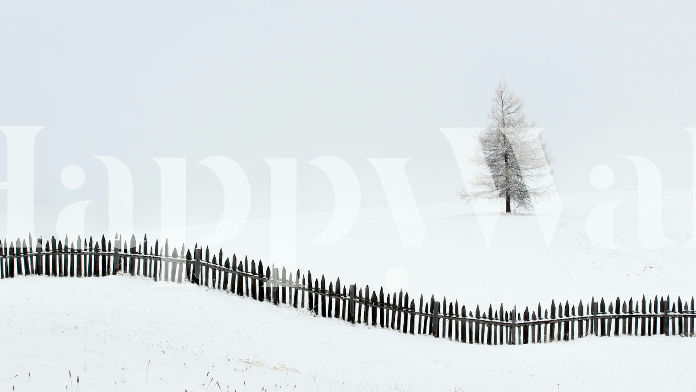 Minimalist snowy landscape with a lone tree and wooden fence wallpaper