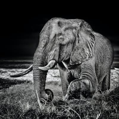 Τοιχογραφία