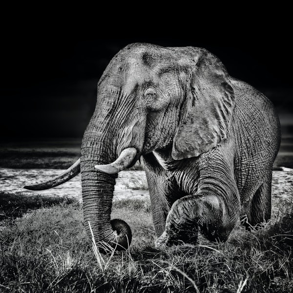 sunset at the waterhole