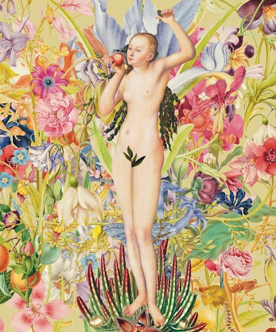 Mural