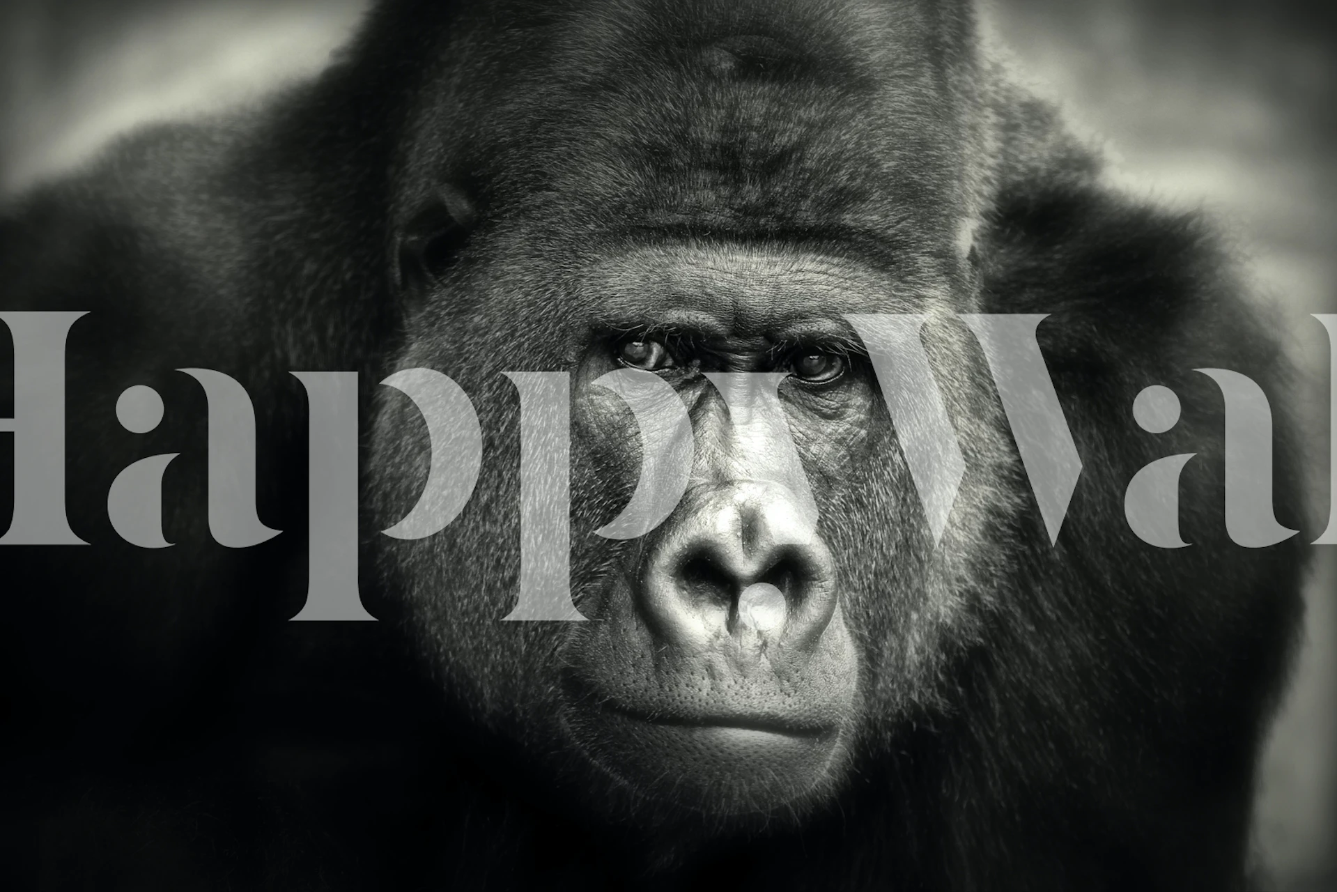 Little Smile Wallpaper Design In A Room