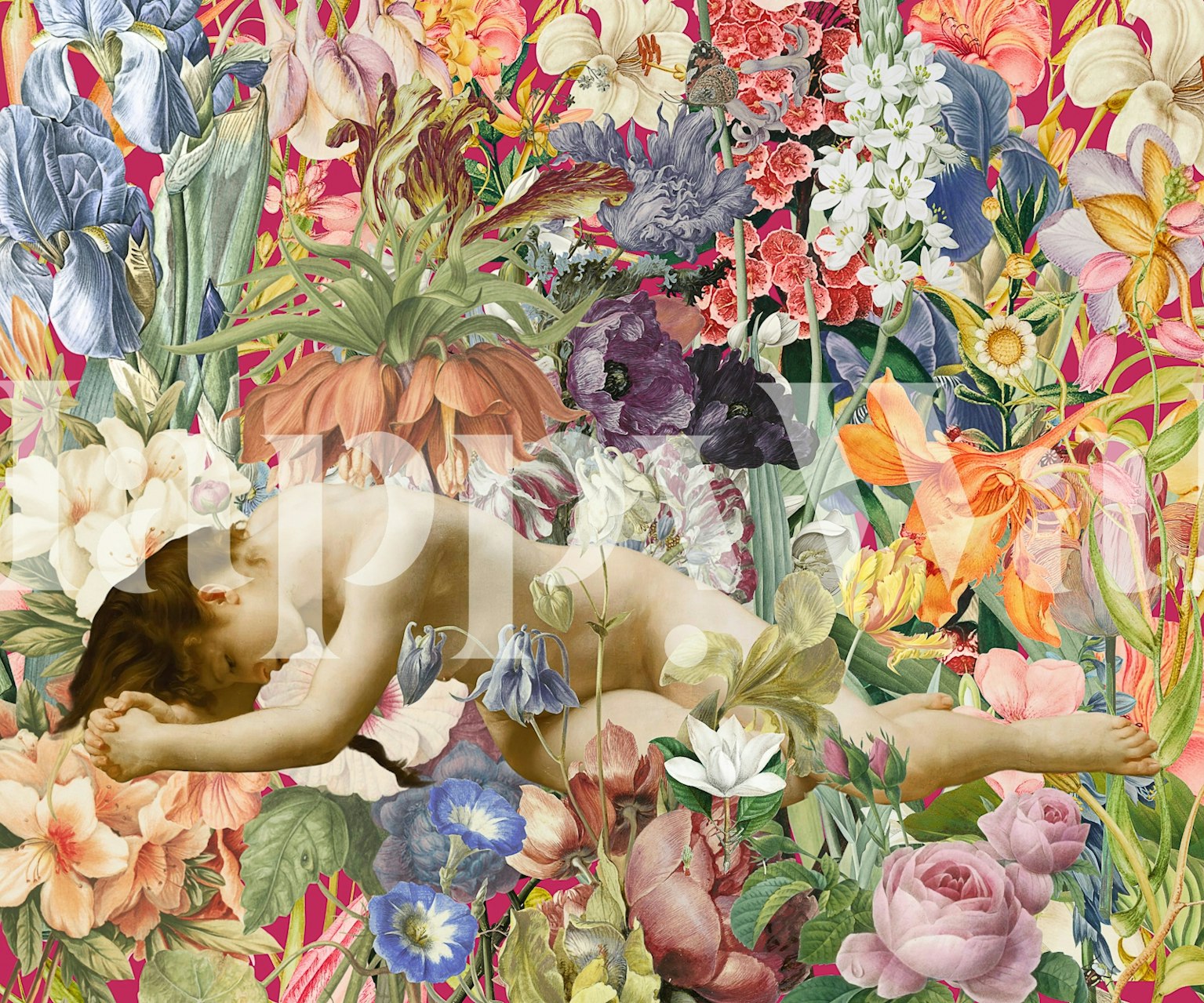 Design de papel de parede Woman in Clover