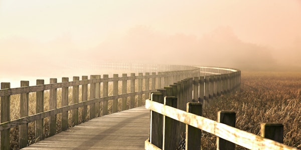 The Path gets brighter