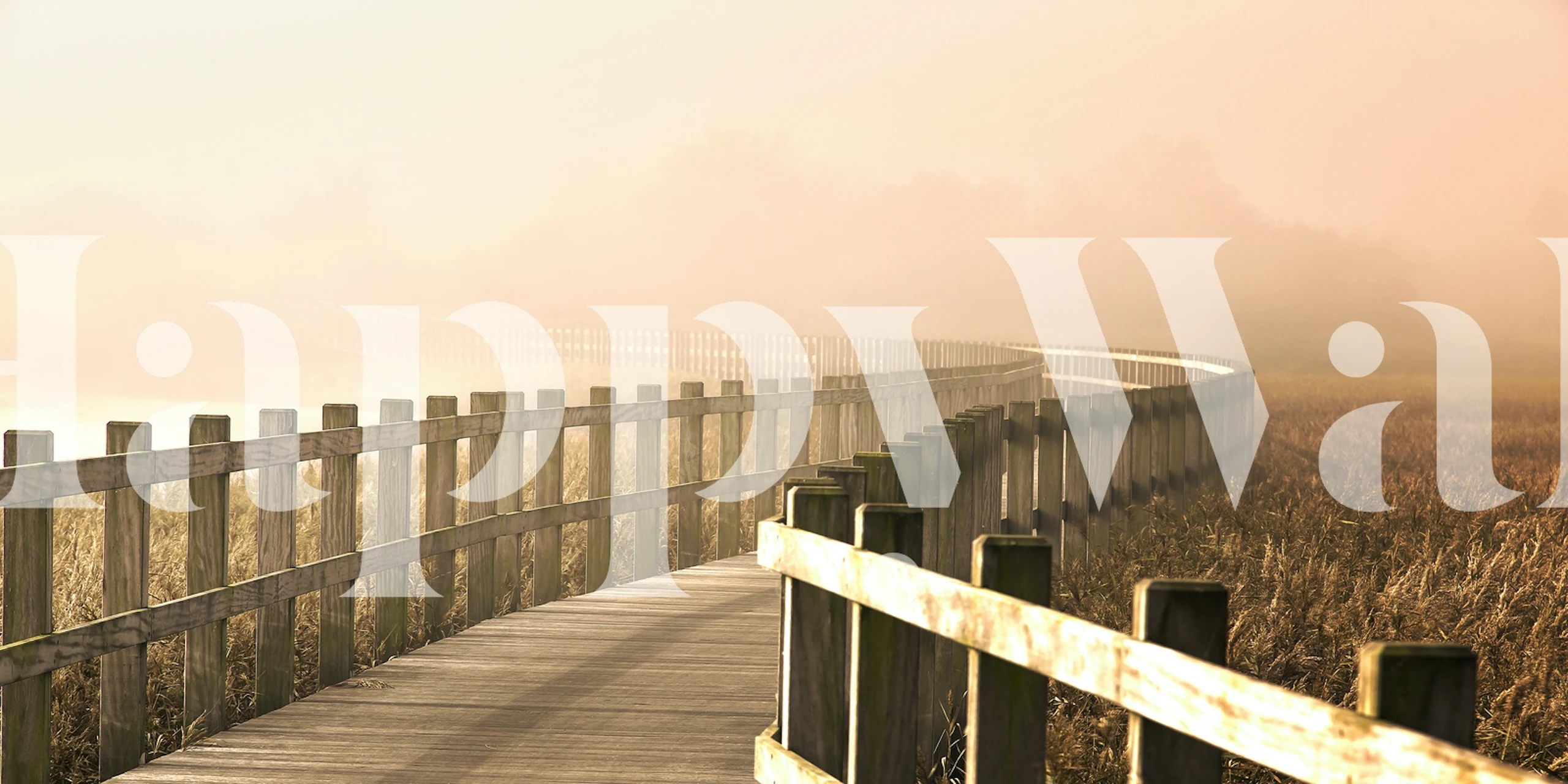 Winding wooden path surrounded by foggy nature wallpaper