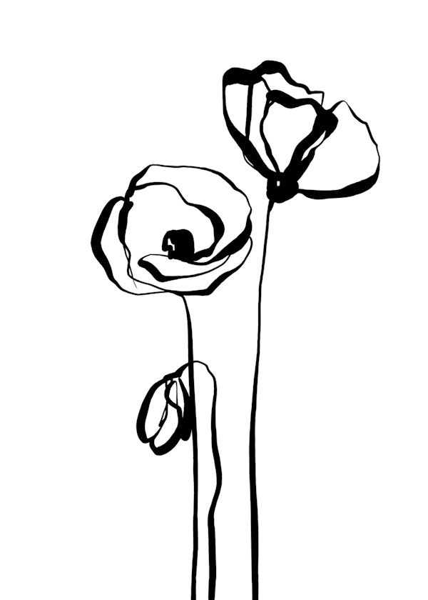 Minimalist Poppies