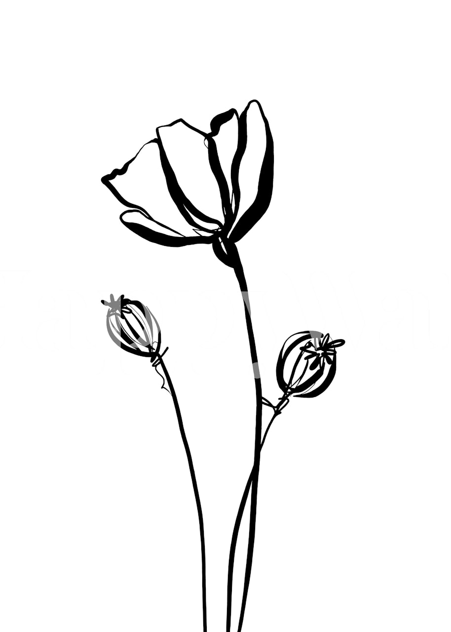 Tapeta Elegant Poppy Silhouette w pokoju