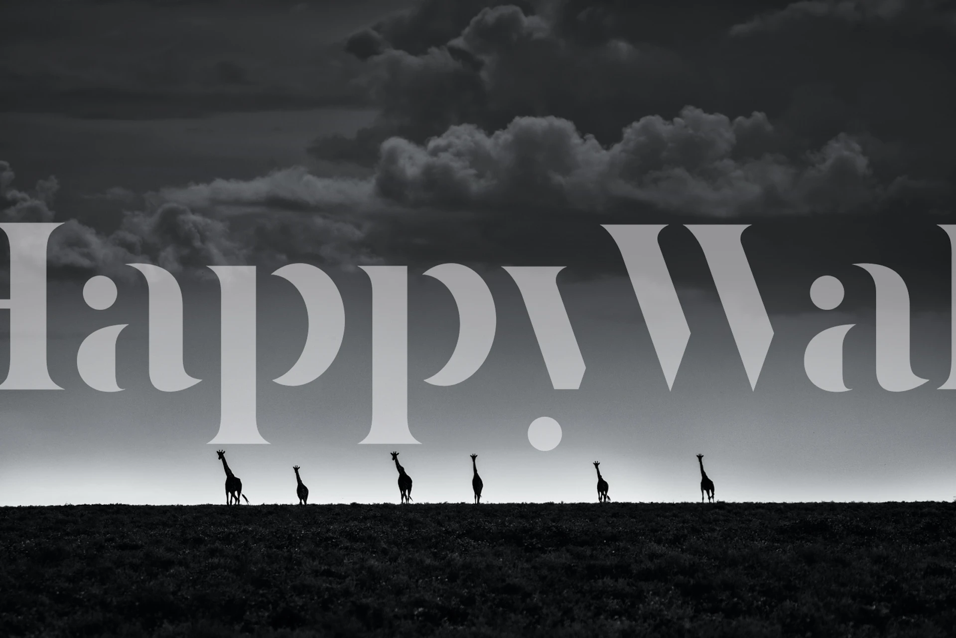 Silhouette de six girafes sur une fresque murale avec un ciel teinté au crépuscule