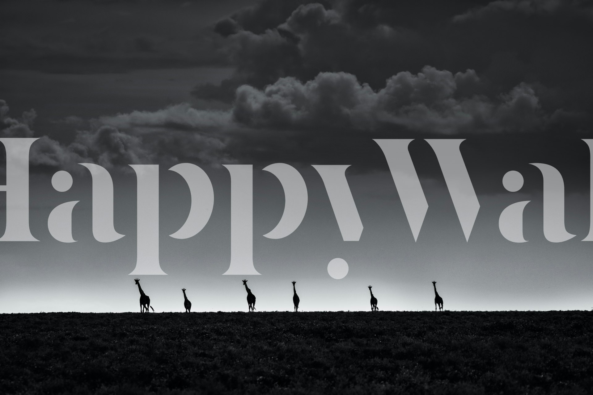 Silhouette of six giraffes on a wall mural with dusk-tinted sky